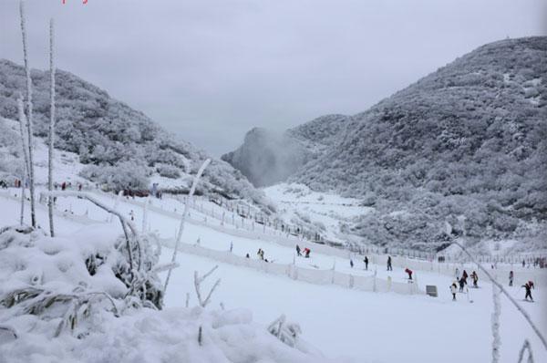 金佛山