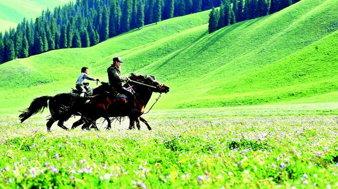 盘点重庆能骑马的地方