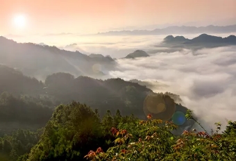 微信图片_20180314232821.jpg 微信图片_20180314232821.jpg