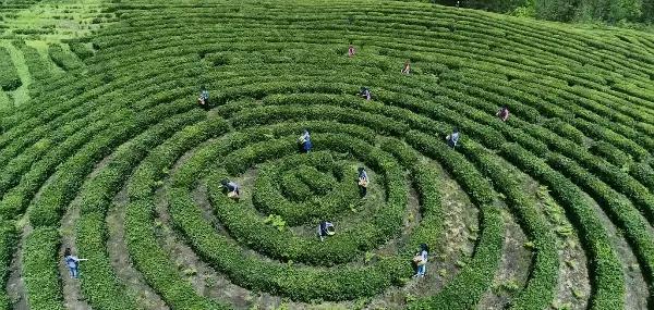 15242324614080a4723945c.jpg 15242324614080a4723945c.jpg