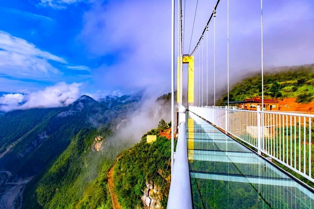 mmexport1565942621214.jpg mmexport1565942621214.jpg