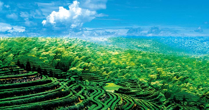 63d6f1cf9d75f42ae81386d423703fa4.jpg 63d6f1cf9d75f42ae81386d423703fa4.jpg