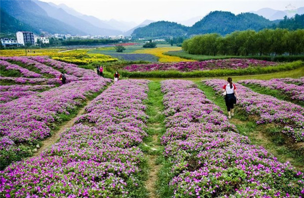 wKgBs1eK2kuAajHLAAdzYbTcLI432_副本_副本.jpg wKgBs1eK2kuAajHLAAdzYbTcLI432_副本_副本.jpg