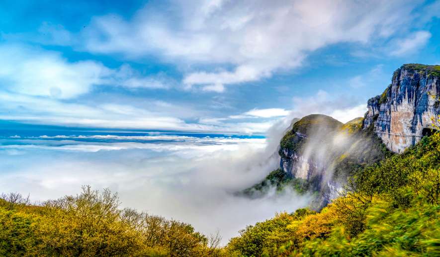 金龟朝阳.jpg 金龟朝阳.jpg